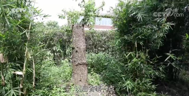 女子穿和服做核酸檢測遭勸阻，必須“換了衣服再來”？